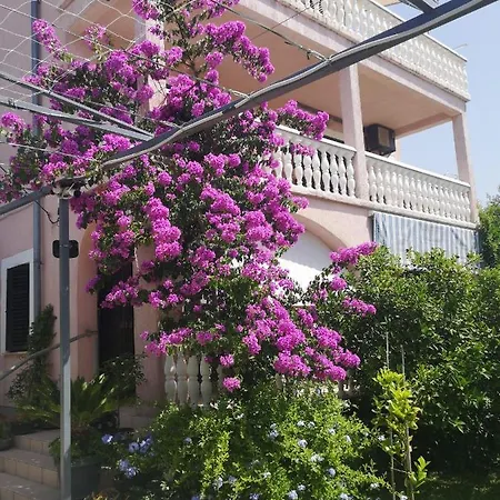 Plava Plaza Daniela * Vodice