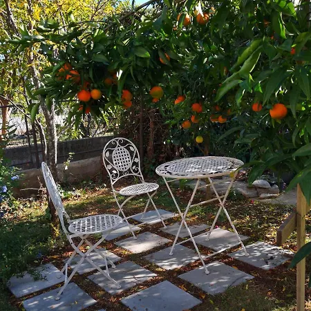 Plava Plaza Daniela Appartement Vodice
