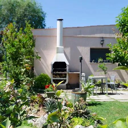 Apartments Plava Plaza Daniela