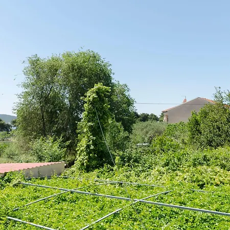 Apartments Plava Plaza Daniela 公寓 沃迪切