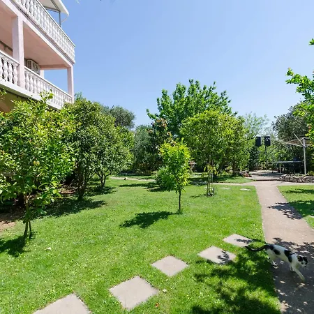 公寓 Apartments Plava Plaza Daniela 沃迪切