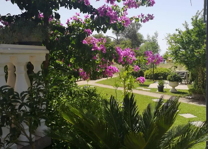 Apartments Plava Plaza Daniela *