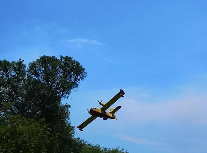 Apartments Plava Plaza Daniela 公寓