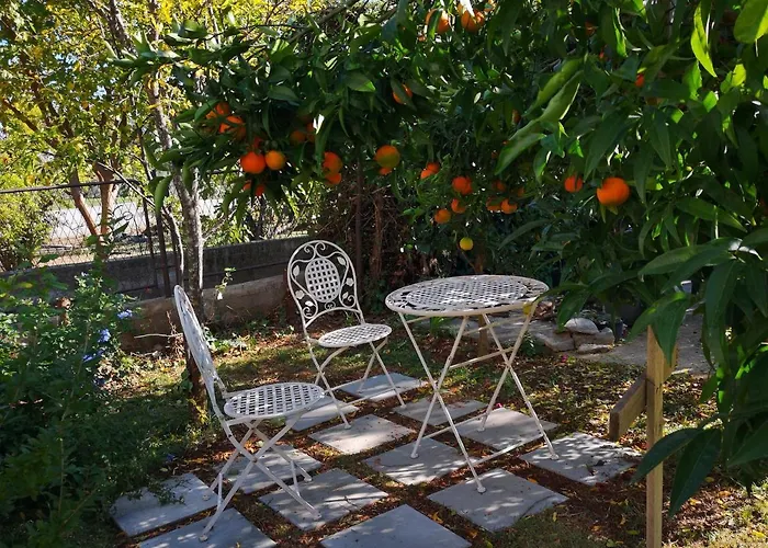 Apartments Plava Plaza Daniela 公寓 沃迪切