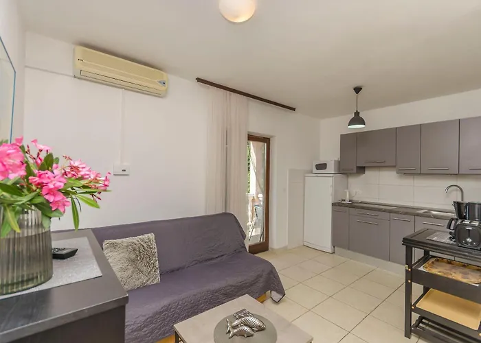 Apartments Plava Plaza Daniela 公寓 *