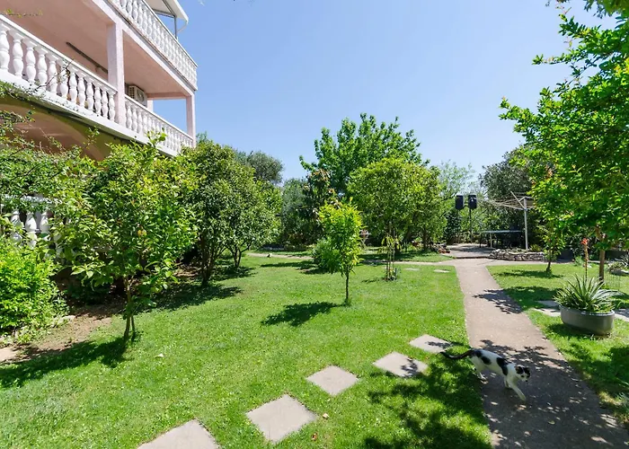 公寓 Apartments Plava Plaza Daniela 沃迪切